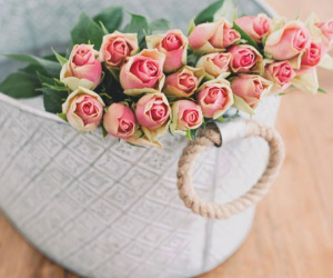 Thứ Tư của bạn (12/9): Xử Nữ thiếu một chút định hướng