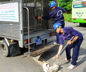 Người Hà Nội nói về việc thành phố muốn người dân từ bỏ thói quen ăn thịt chó: 'Yêu và ăn là 2 chuyện khác nhau'