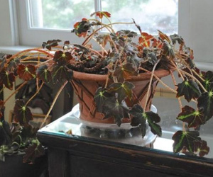 Những món đồ cũ 'đại hung' làm hao tổn tài vận, nhà nào cũng có ít nhất 1 thứ