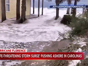 Video: Bão Florence làm nước biển dâng, đường phố Mỹ chìm trong lũ