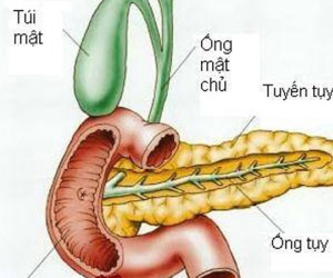 Viêm tụy cấp nguy hiểm thế nào?