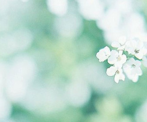Chủ nhật của bạn (16/9): Xử Nữ tinh tế đến không ngờ