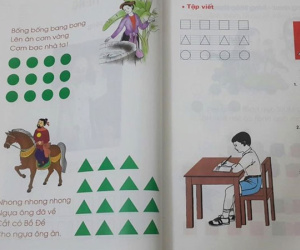 Vì sao TPHCM dừng triển khai chương trình Công nghệ Giáo dục của GS Hồ Ngọc Đại?