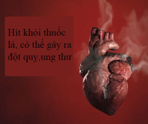 Video gây sốc cho những ai có thói quen hút thuốc lá
