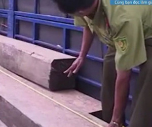 Đắk Lắk: Bắt giữ xe tải vận chuyển 31 khúc gỗ lậu