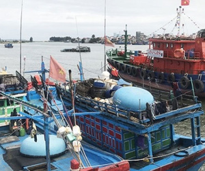 Tăng nguy cơ nợ xấu từ khoản vay đóng mới tàu cá
