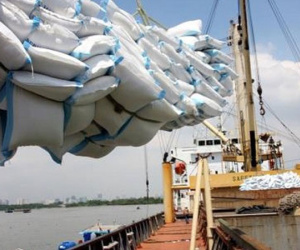 Việt Nam ký hợp đồng 1 tỷ USD xuất khẩu gạo độc quyền sang Philippines