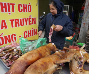 Hà Nội vận động không ăn thịt chó: Người dân ủng hộ hay phản đối?