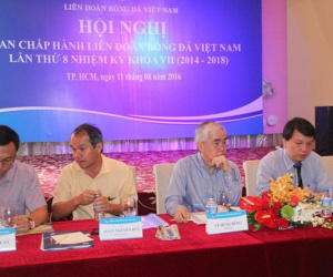 Đại hội VFF: Hoãn và những hệ lụy
