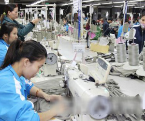 Nên cân nhắc kỹ trước khi lựa chọn rút BHXH một lần