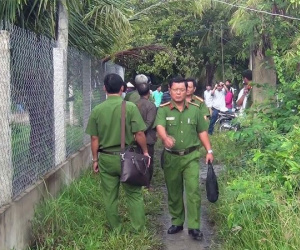 Ảnh minh họa