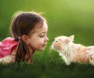 Giun sán trong cơ thể, nhiều người lầm tưởng khối u