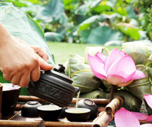 Uống trà sen tươi cần phải biết điều này
