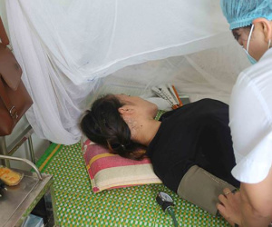 Nghệ An: 36 người bị nhiễm sốt xuất huyết