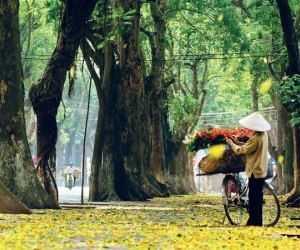 Thứ Bảy của bạn (29/9): Kim Ngưu đạt thành tựu trong công việc