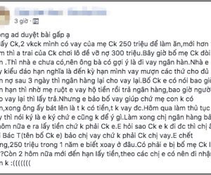 Lo sợ bị bố mẹ chồng lừa ký giấy vay 250 triệu, nàng dâu lên mạng xin tư vấn lại nhận về 'gạch đá' tơi bời
