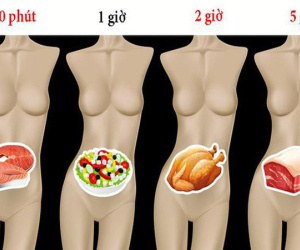 Mất bao lâu để tiêu hóa hết thực phẩm ăn hàng ngày?