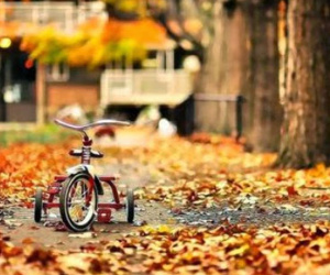 Tử vi tháng 10/2018 chi tiết của 12 con giáp: Tuổi Tý có cơ hội phát tài, tuổi Tỵ có quý nhân gõ cửa