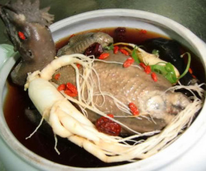 8 bài thuốc hâm nóng phòng the từ gà