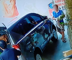 Thanh niên đi xế hộp tiện tay bế trộm chó: 'Là người yêu động vật'