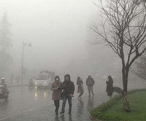 Sa Pa chuyển rét hại, nhiệt độ xuống 11,3 độ C