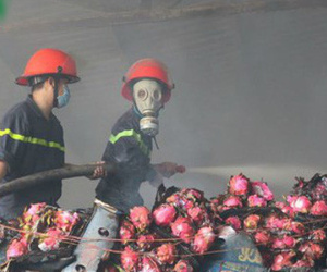 Hỏa hoạn thiêu rụi kho thanh long hơn 100 tấn ở Bình Thuận