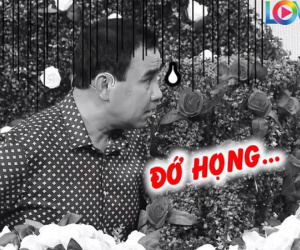Bạn muốn hẹn hò: Tiêu chuẩn chọn bạn trai của cô gái khiến MC Quyền Linh giật mình thảng thốt