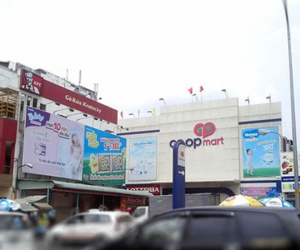 Ảnh minh họa