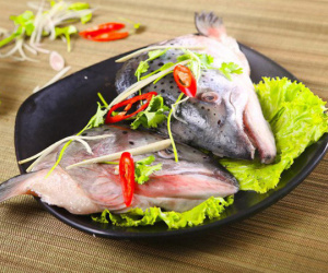 Những bộ phận của cá có thể gây nguy hiểm