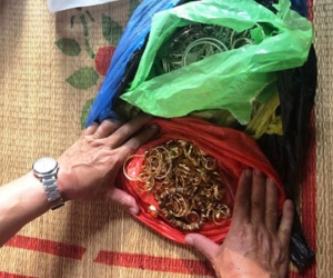 Bắt giữ 2 đối tượng trộm hơn 200 lượng vàng