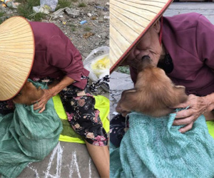 Rưng rưng với nụ hôn và giọt nước mắt tiễn biệt của cụ bà trước khi bán chú chó nhỏ đổi tiền chữa bệnh
