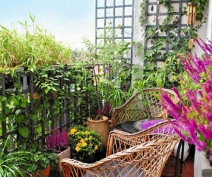 Chồng cũ liên tục làm phiền vì muốn quay lại với tôi