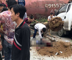 [NÓNG] 4 ô tô đâm liên hoàn ở Quảng Ninh khiến 4 người thương vong