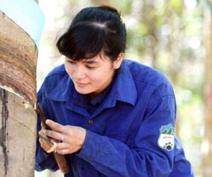 HAGL chính thức lên tiếng về nguyên nhân vụ kiện của FPT Capital