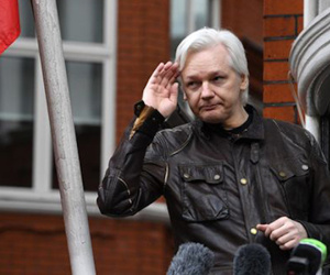 Ông chủ Wikileaks kiện Ecuador vì bị buộc phải chăm mèo, dọn nhà tắm
