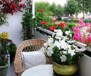 Bị vợ cấp dưới đánh ghen, nữ giám đốc cố thủ trong phòng tắm