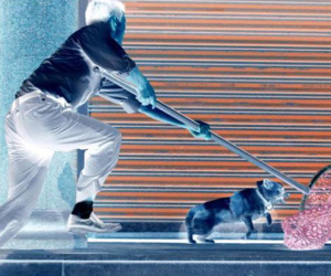 Thanh niên trộm chó bị người dân truy đuổi, đánh đập tới chết ở Hải Phòng