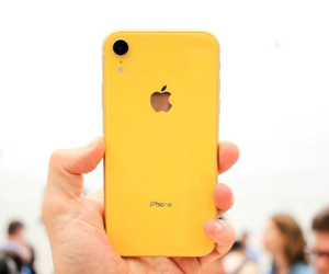 Chưa về Việt Nam, iPhone XR đã loạn giá