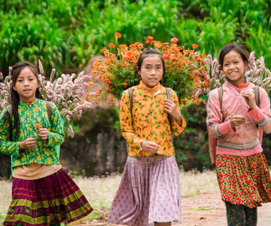 Video Thu tháng 10: Lên Hà Giang ngắm hoa tam giác mạch