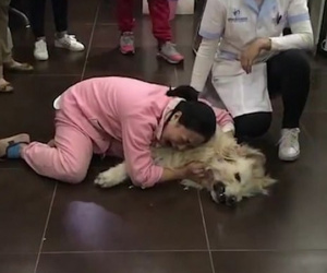 TQ: Đau đớn khóc thảm thiết vì chó đem từ Mỹ về bị hàng xóm đầu độc