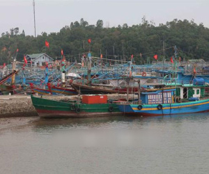 Các tỉnh, thành phố ven biển từ Quảng Ninh đến Khánh Hoà chủ động ứng phó với siêu bão gần Biển Đông