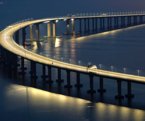 Cầu vượt biển dài nhất thế giới đe dọa loài cá heo hiếm của TQ