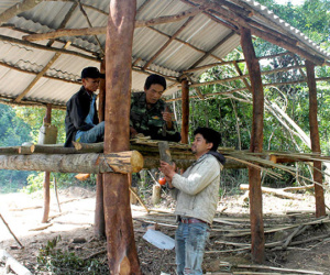 Dân dựng trại thay phiên bảo vệ gần 1.000 ha rừng