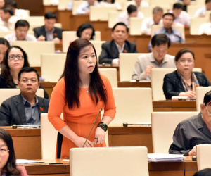 'Không quốc gia nào mỗi tỉnh, thành phố có một dự án như Việt Nam'