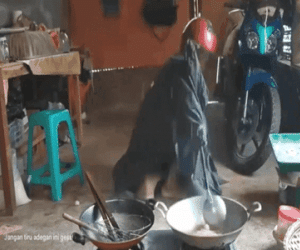 Ông chồng vào bếp thay vợ khiến dân mạng cười tắt thở vì áo giáp kín người, ngỡ đang xào lựu đạn