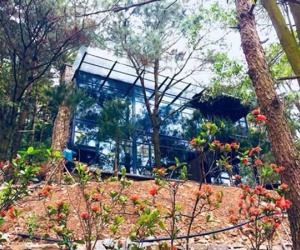 Hốt bạc nhờ kinh doanh 'biệt thự, nhà vườn' ở Sóc Sơn
