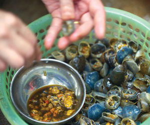 Món ngon, thuốc quý từ cua đồng