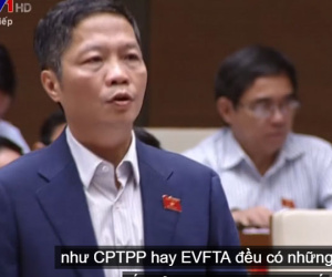 Video: Đại biểu chất vấn vì sao giá ôtô không giảm dù thuế 0%