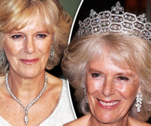 Người hâm mộ dậy sóng trước tin Nữ hoàng Anh ngầm chuyển giao quyền lực cho Charles, bà Camilla sẽ lên ngôi hoàng hậu