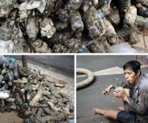 Khoảnh khắc chú công nhân vệ sinh uống vội cốc nước bên cạnh đống rác thải khiến nghìn người nín lặng